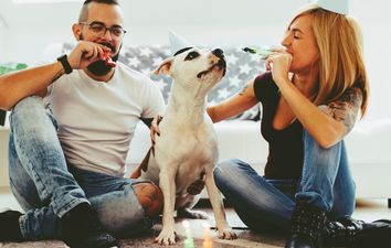 You can now have DINNER at Dublin’s dog-friendly café