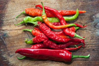 Someone has created a chilli so hot that eating it could kill you