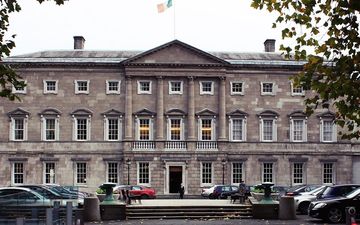 The number of attempts made to access PORN at Leinster House might surprise you