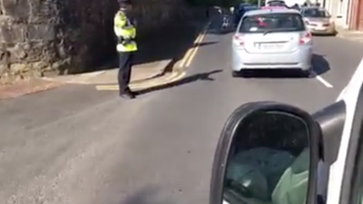 Gardaí in Sligo were out directing traffic around swans and cygnets yesterday
