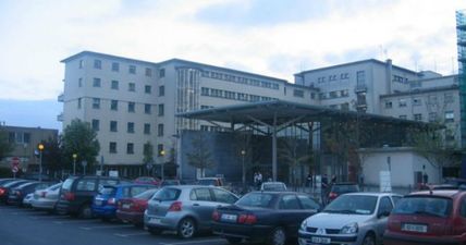 Shocking: Galway woman dies after being attacked by two bullmastiffs