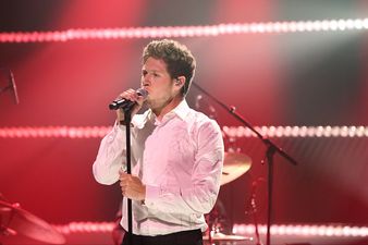 Niall Horan just reached a major milestone on Twitter