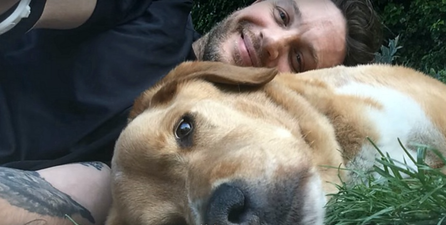 Tom Hardy writes heartbreaking tribute after his dog Woody dies