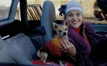 Without fail: 8 things every woman has in her car