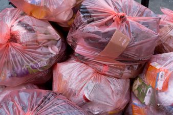 Men recorded on CCTV illegally dumping at Dublin restaurant