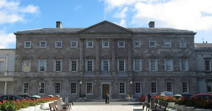 Families gather outside Leinster house to protest surrogacy laws