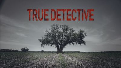 An Oscar-winner has been linked to True Detective season 3