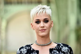 Katy Perry has been accused of animal cruelty