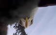 This eagle stole a GoPro and the footage is incredible
