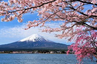 Japan voted the number one bucket-list destination in the world by travel bloggers