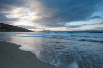 Warning issued as lethal Portuguese men o’ war could be on Irish beaches
