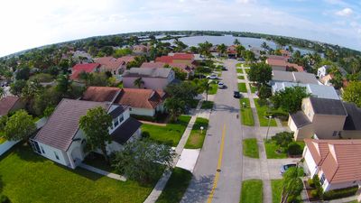 Mystery surrounds the case of (frozen) flying pigs in Florida