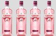 Mark your diary! We have a release date for this limited-edition pink gin