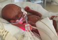 Weighing just 300g at birth, ‘miracle’ baby Poppy finally goes home