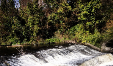 Gardaí investigating the discovery of a man’s body in Dublin river