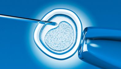 Report claims DNA in human embryos modified for first time