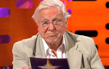 David Attenborough had a super old dragonfly named after him