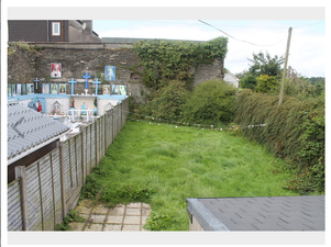 A house in Cork is going viral because of its unusual neighbours