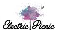 Electric Picnic have just announced 30 new acts