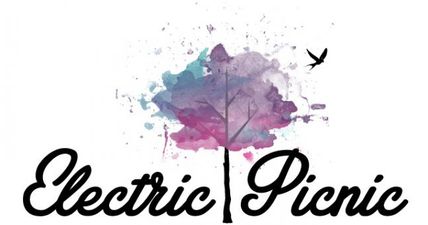 Electric Picnic have just announced 30 new acts