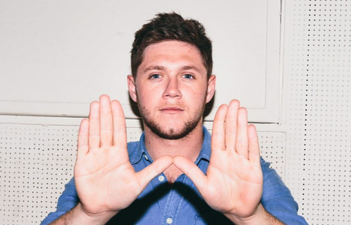 Niall Horan finds a €1.6m mansion in his hometown of Westmeath