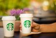 A ‘golden powder’ latte is hitting Starbucks and it sounds delish