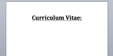 #JobFairy to the rescue: I built a next-level CV in just 30 minutes