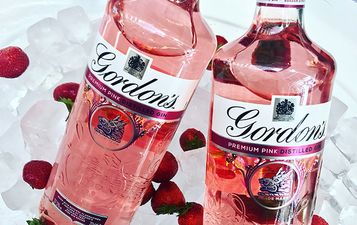 Gordon’s are looking for a ‘Pink Gin Ambassador’ with a €30k salary