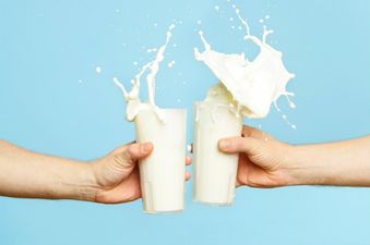 When you’re lactose intolerant… but really LOVE dairy: five top tips to cope