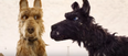 The Isle of Dogs movie trailer is equal parts confusing and cute