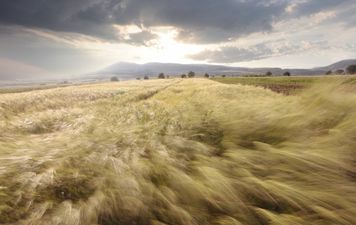 Met Éireann has issued a weather warning for six counties