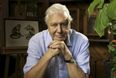 David Attenborough is coming BACK to our screens with a brand new show