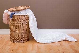 Keeping dirty laundry in your room could lead to a very icky problem