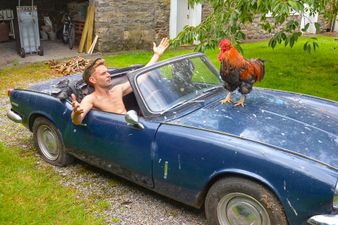 The Irish Farmers Calendar has been released and it’s wonderful