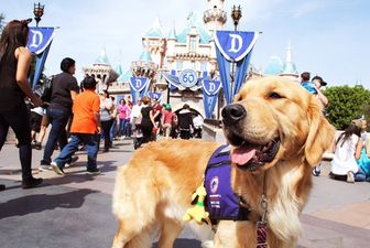 Public service announcement: You can now bring your DOG to Disneyland
