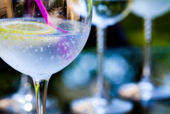 Dunnes Stores is holding a BIG gin sale and here’s how we’ll be taking advantage