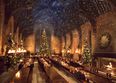 Hogwarts’ Great Hall is hosting a massive Christmas dinner this year