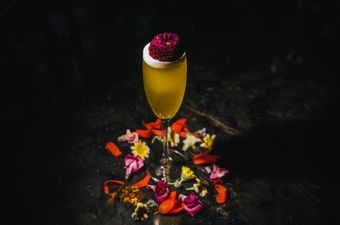 Win the ultimate girls’ night out for you and 10 friends at the newly reopened Opium