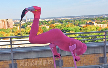 This amputee has the most creative Halloween costumes going