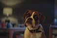 Details of this year’s John Lewis Christmas advert have been revealed