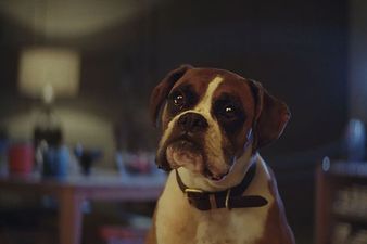 Details of this year’s John Lewis Christmas advert have been revealed