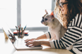 Good news! One in five Irish workplaces allow PETS in the office
