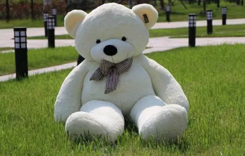 This adorable giant cuddly bear is going viral for all the wrong reasons