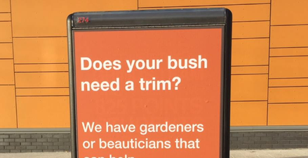 This very cheeky advertisement had to be taken down in South Dublin