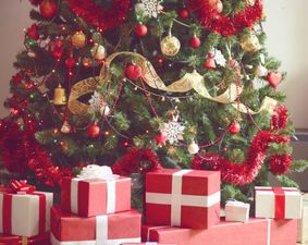 If you don’t give your Christmas tree a little TLC it could become a fire hazard