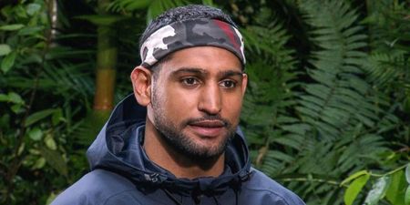 It turns out Amir is making much more from I’m a Celeb than we first thought