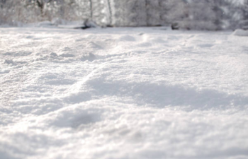 There was a full on blizzard in Mayo today and it looked intense