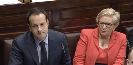 Tánaiste Frances Fitzgerald has stepped down