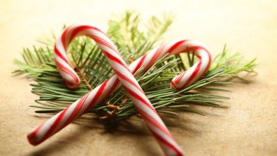 Candy cane dildos are finally here to spread the feeling of festive cheer