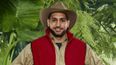 EVERYONE on Twitter is saying the same thing about Amir on I’m A Celeb